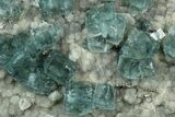 Cubic, Blue-Green Fluorite Crystals on Druzy Quartz - Fluorescent #185466-3